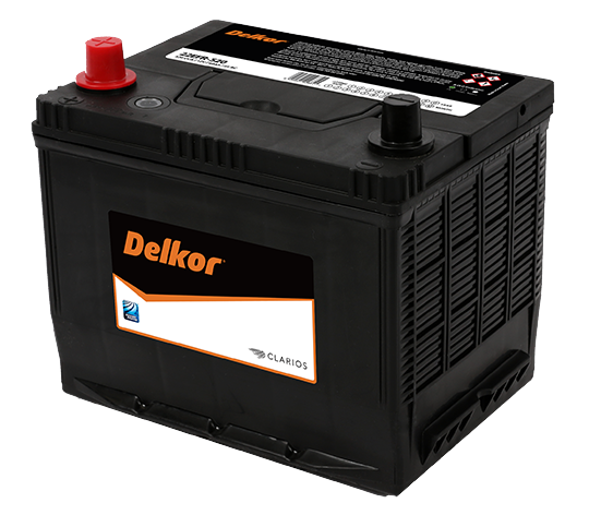 Delkor 22EFR-520 Calcium Battery MF50EF