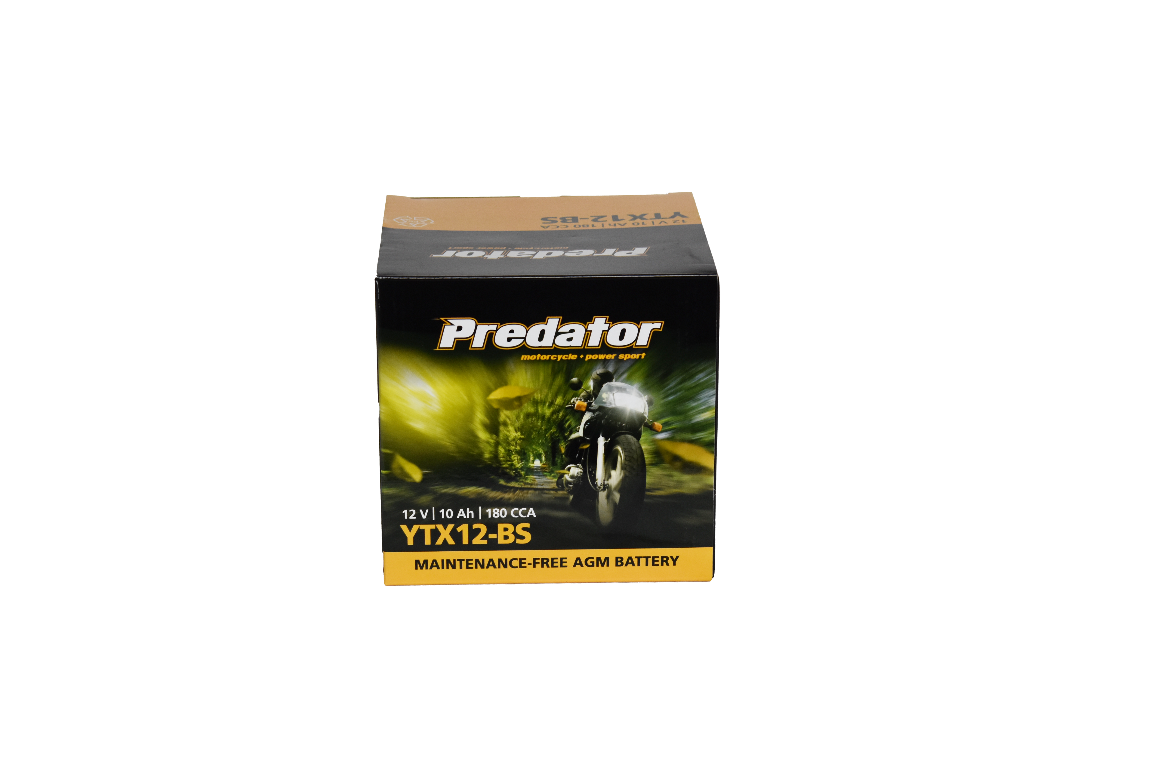 YTX12-BS 12V Predator Motorcycle Battery