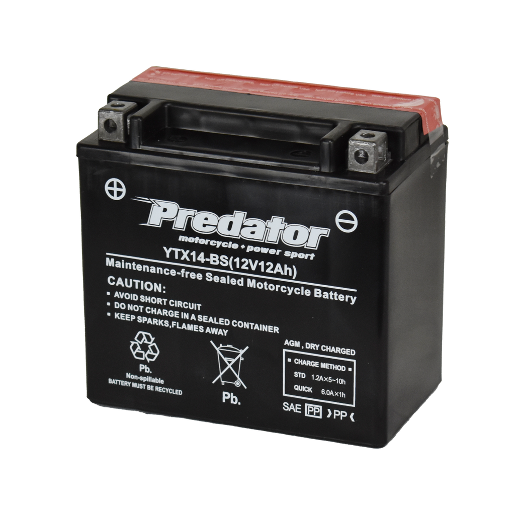 YTX14-BS 12V Predator Motorcycle Battery