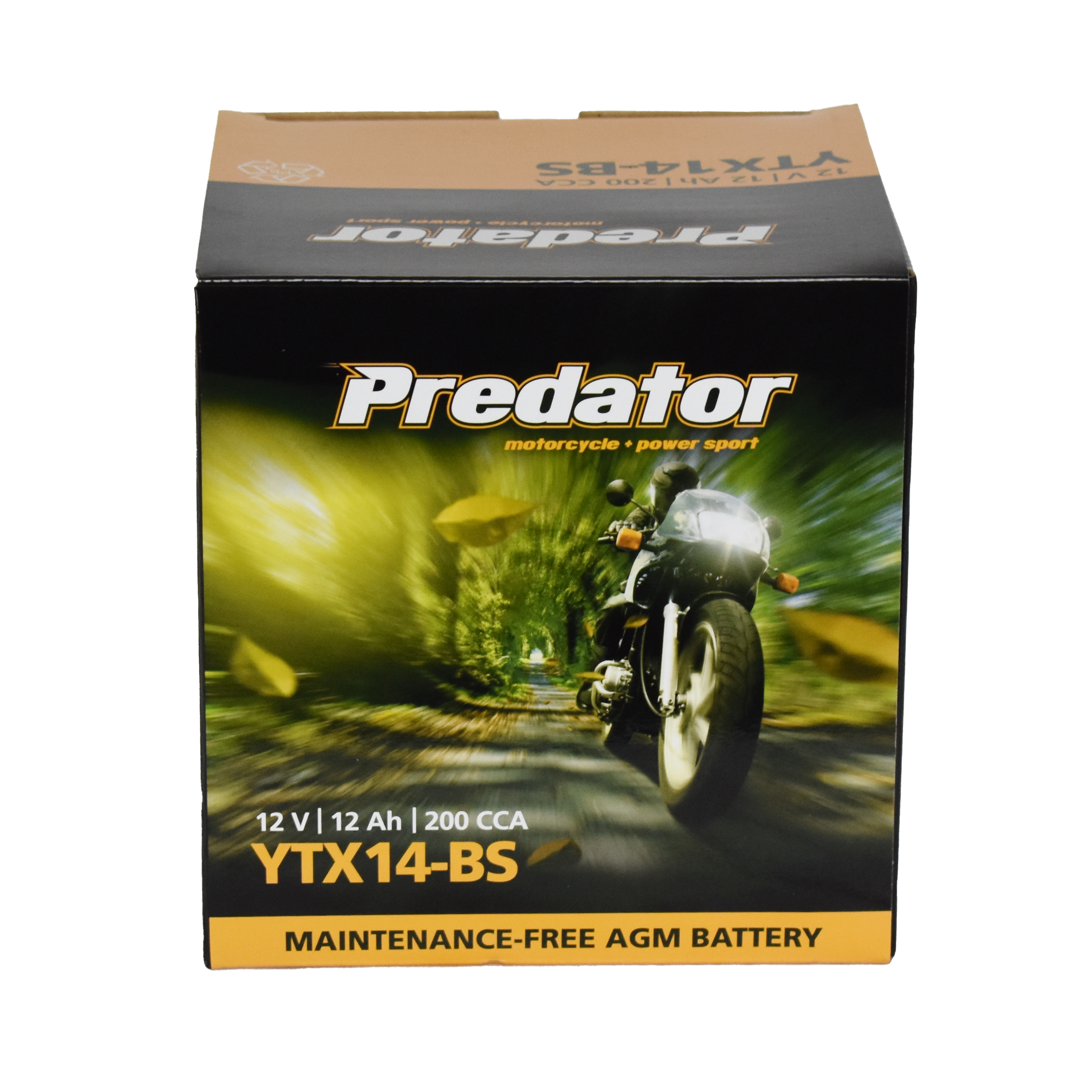 YTX14-BS 12V Predator Motorcycle Battery